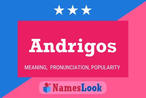 Poster del nome Andrigos