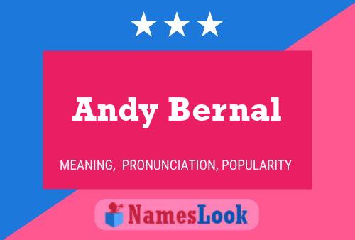 Poster del nome Andy Bernal