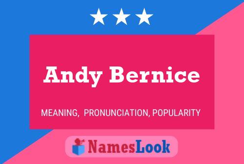 Poster del nome Andy Bernice