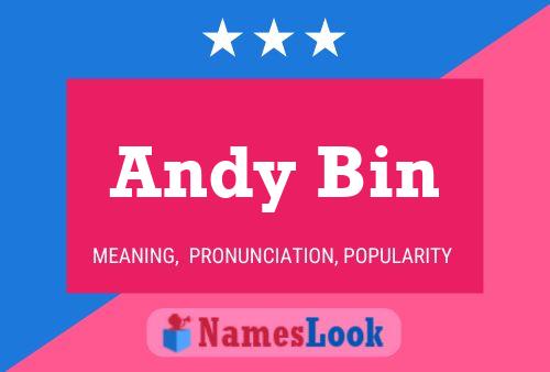 Poster del nome Andy Bin