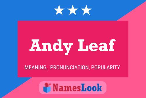 Poster del nome Andy Leaf