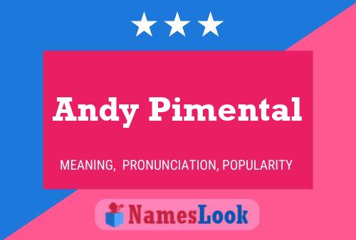 Poster del nome Andy Pimental