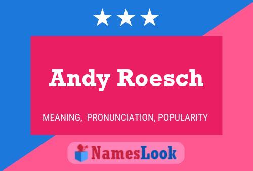 Poster del nome Andy Roesch