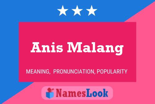 Poster del nome Anis Malang