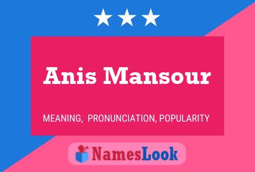 Poster del nome Anis Mansour