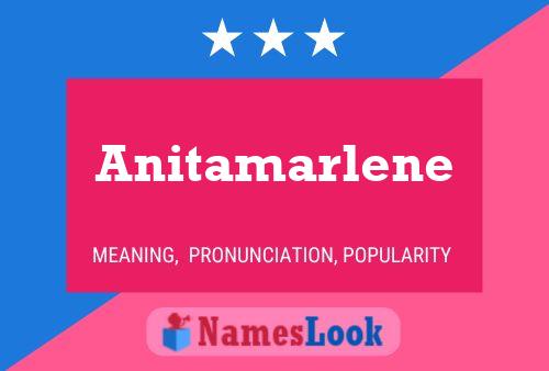 Poster del nome Anitamarlene