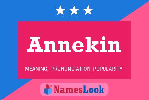 Poster del nome Annekin