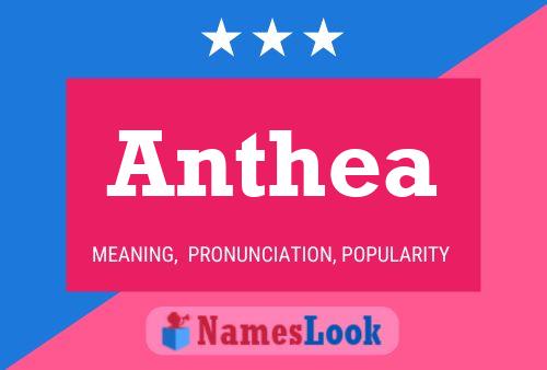 Poster del nome Anthea