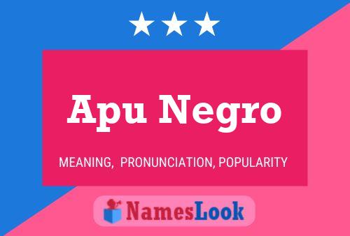 Poster del nome Apu Negro