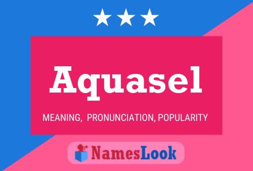 Poster del nome Aquasel