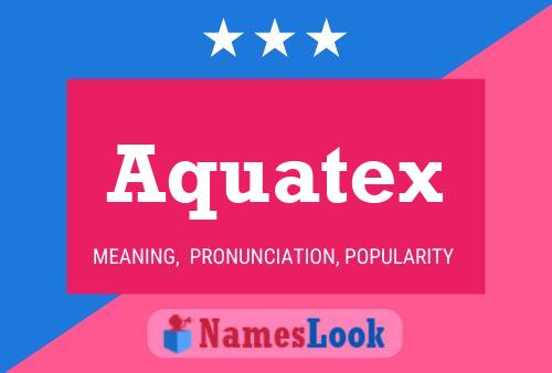 Poster del nome Aquatex