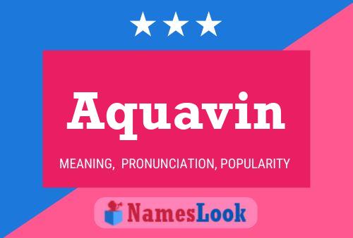 Poster del nome Aquavin