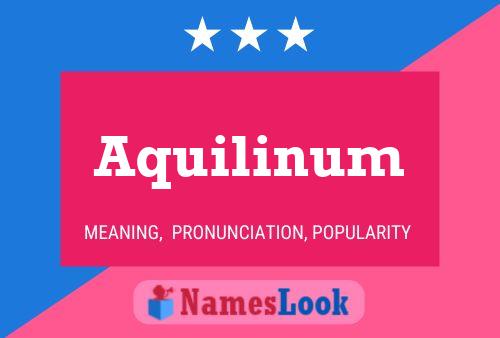 Poster del nome Aquilinum