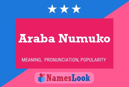 Poster del nome Araba Numuko