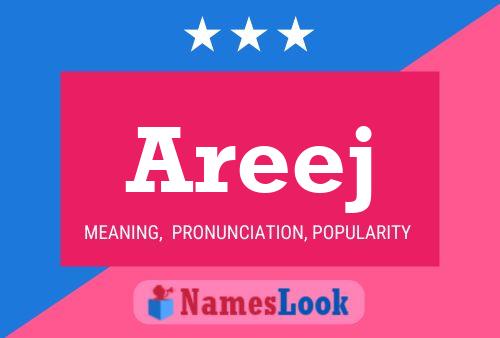 Poster del nome Areej