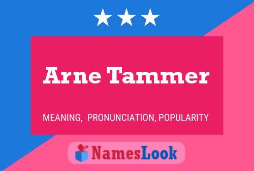 Poster del nome Arne Tammer