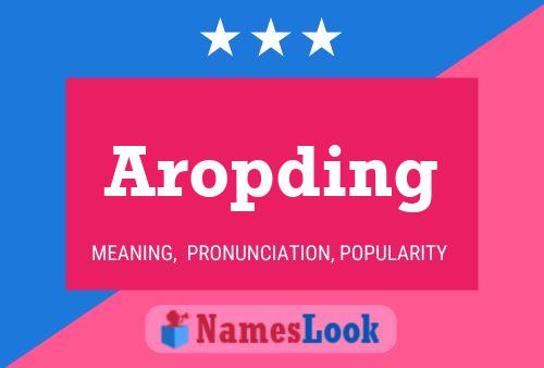 Poster del nome Aropding