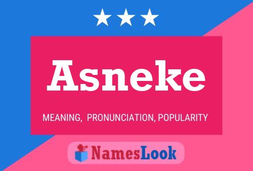 Poster del nome Asneke