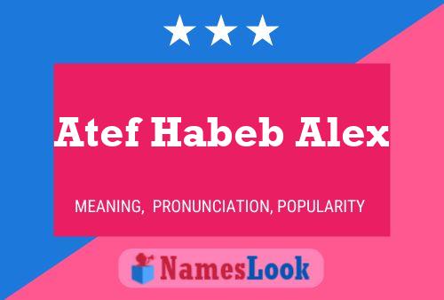 Poster del nome Atef Habeb Alex