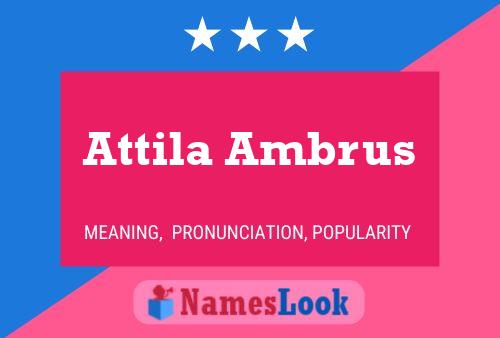 Poster del nome Attila Ambrus