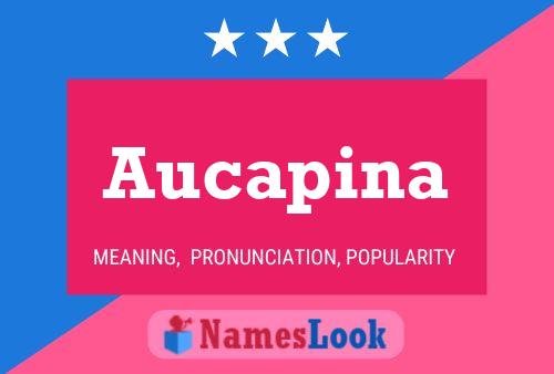 Poster del nome Aucapina