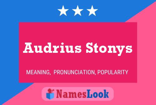 Poster del nome Audrius Stonys