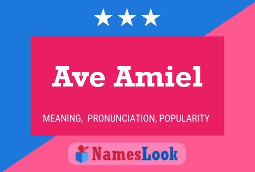 Poster del nome Ave Amiel