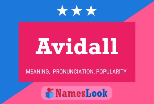 Poster del nome Avidall