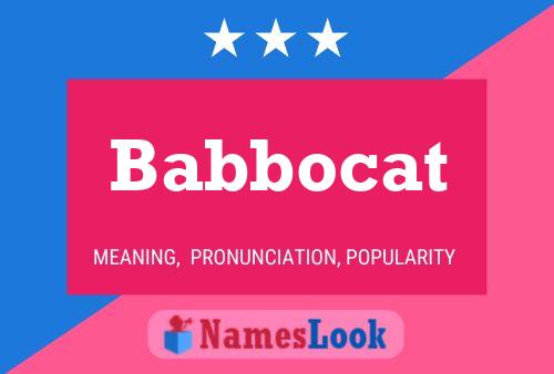 Poster del nome Babbocat