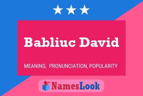 Poster del nome Babliuc David