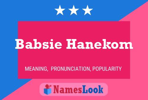 Poster del nome Babsie Hanekom