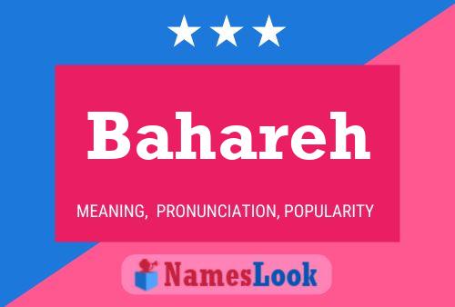 Poster del nome Bahareh