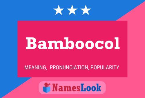 Poster del nome Bamboocol