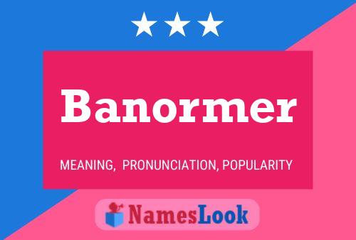 Poster del nome Banormer