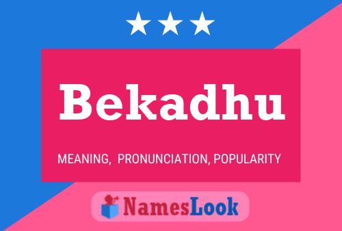 Poster del nome Bekadhu