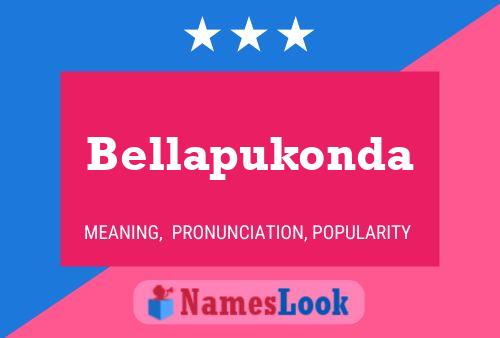 Poster del nome Bellapukonda