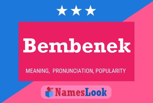 Poster del nome Bembenek