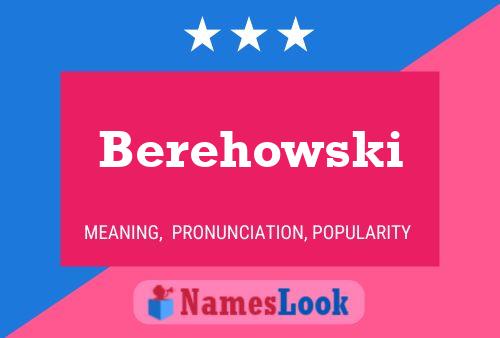 Poster del nome Berehowski