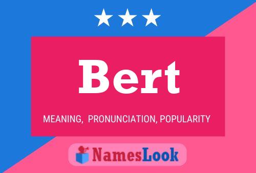 Poster del nome Bert