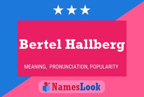 Poster del nome Bertel Hallberg