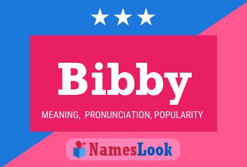 Poster del nome Bibby