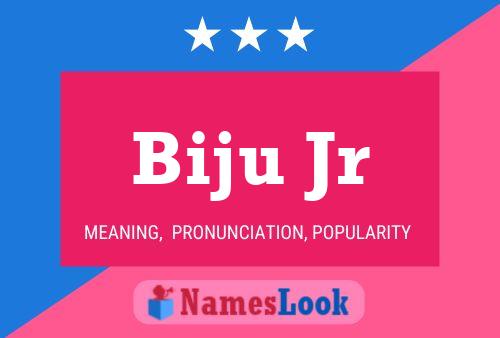 Poster del nome Biju Jr