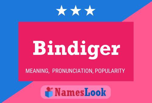 Poster del nome Bindiger