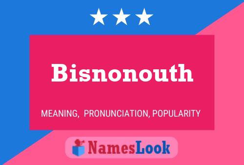 Poster del nome Bisnonouth