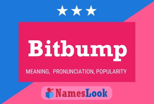 Poster del nome Bitbump