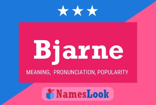 Poster del nome Bjarne