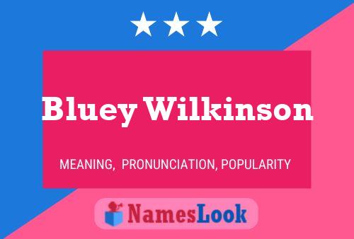 Poster del nome Bluey Wilkinson