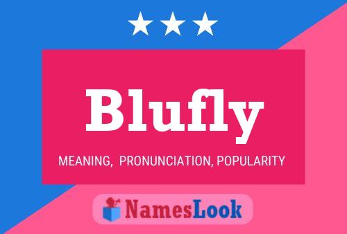 Poster del nome Blufly