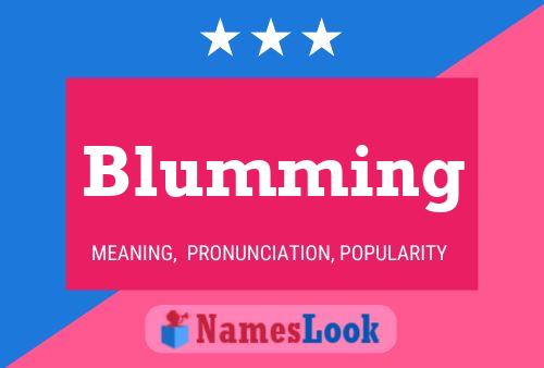 Poster del nome Blumming