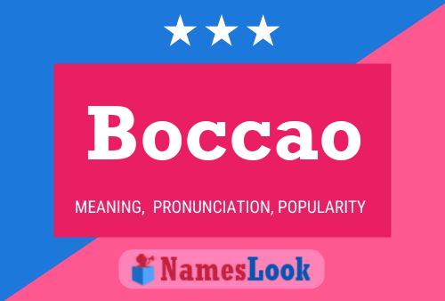 Poster del nome Boccao